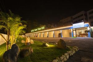 パームツリーヒル